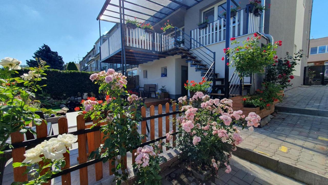David Home 56 Znojmo Exteriér fotografie